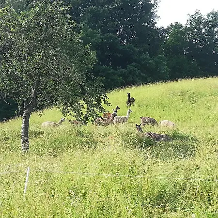 アパート Deutschbauer フィラハ