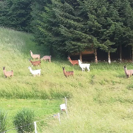 Apartamento Deutschbauer