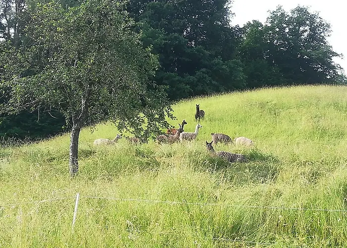 Apartament Deutschbauer Villach