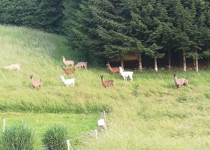 Apartament Deutschbauer